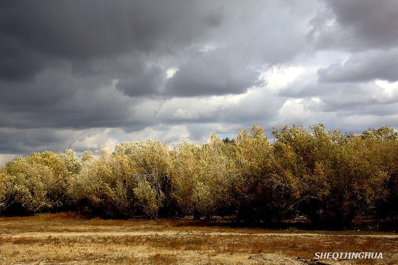 kaiyun体育官方网站下载风云突变克里夫兰骑士集结日再遭质疑风云突变毕尔巴鄂竞技清晨调整名单，关键时刻上海海港调整名单以备意甲直接炸裂的简单介绍